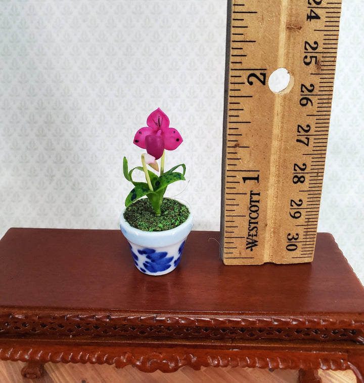 Dollhouse Miniature Orchid Lady Slipper Pink Flowering Plant in Ceramic Pot 1:12 Scale - Miniature Crush