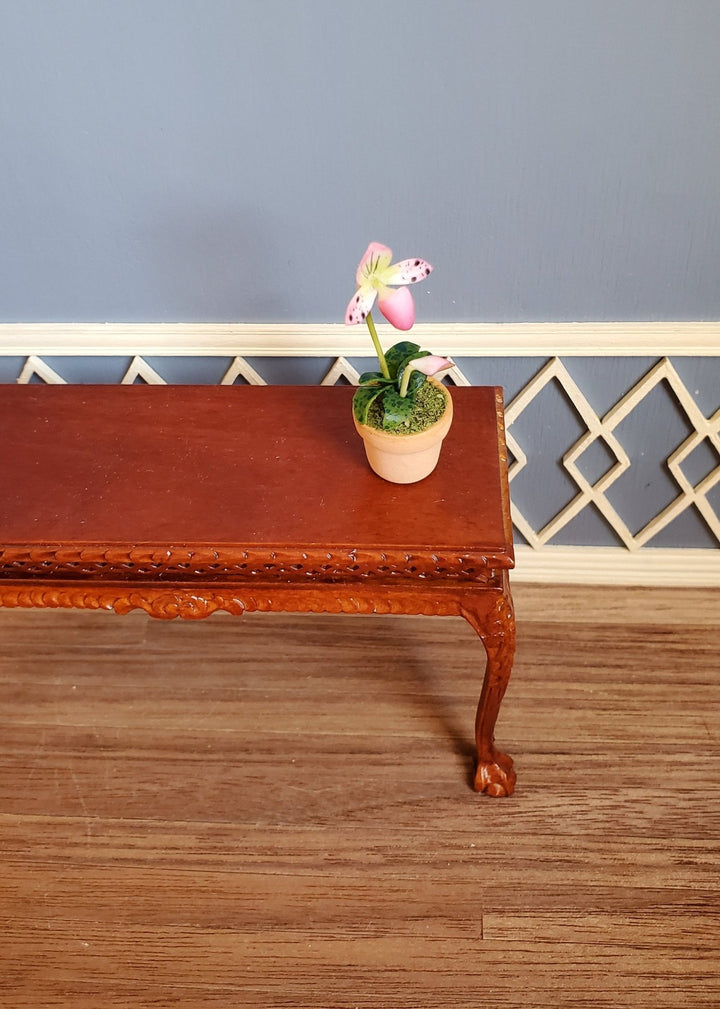 Dollhouse Miniature Potted Orchid Pink & White Flowering Plant in Clay Pot 1:12 Scale - Miniature Crush