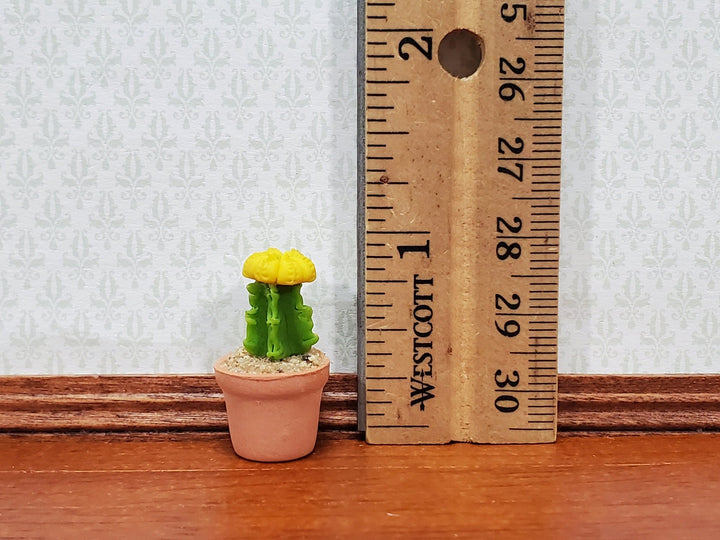 Dollhouse Moon Cactus Plant Yellow Potted in Terra Cotta Planter 1:12 Scale Miniature Decor - Miniature Crush
