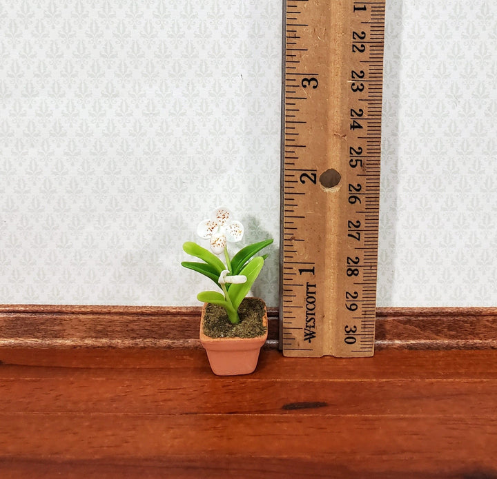 Dollhouse Orchid White Plant in Terra Cotta Planter 1:12 Scale Miniature Decor - Miniature Crush
