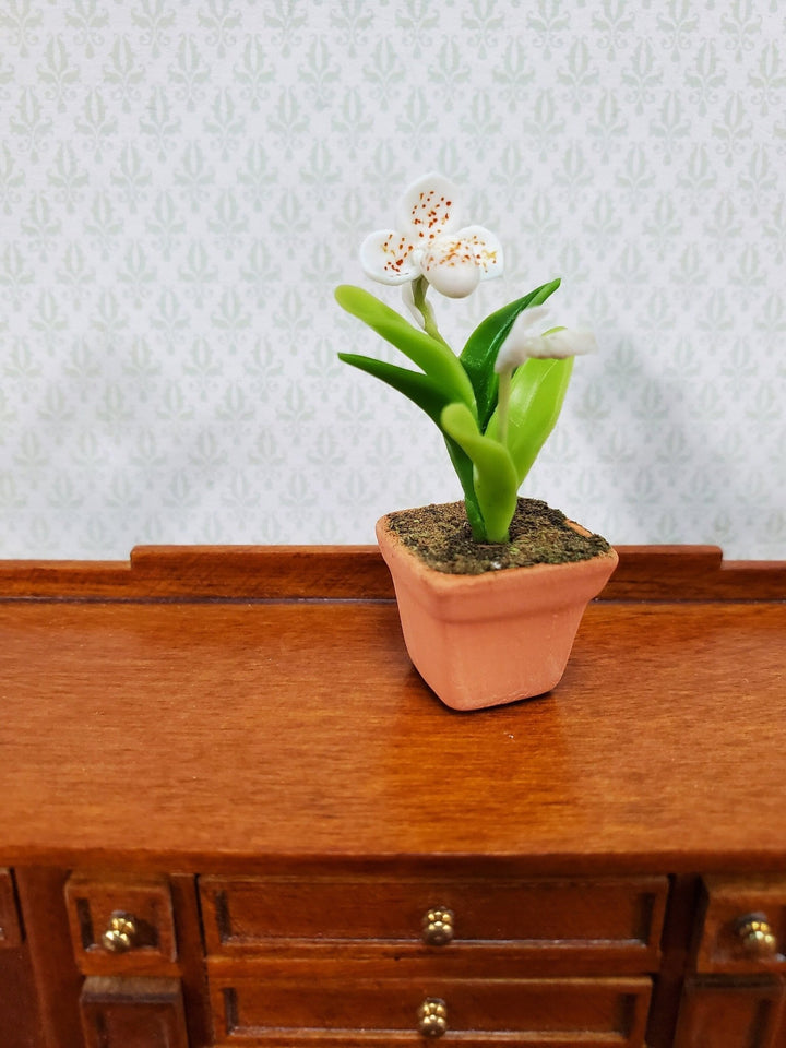 Dollhouse Orchid White Plant in Terra Cotta Planter 1:12 Scale Miniature Decor - Miniature Crush