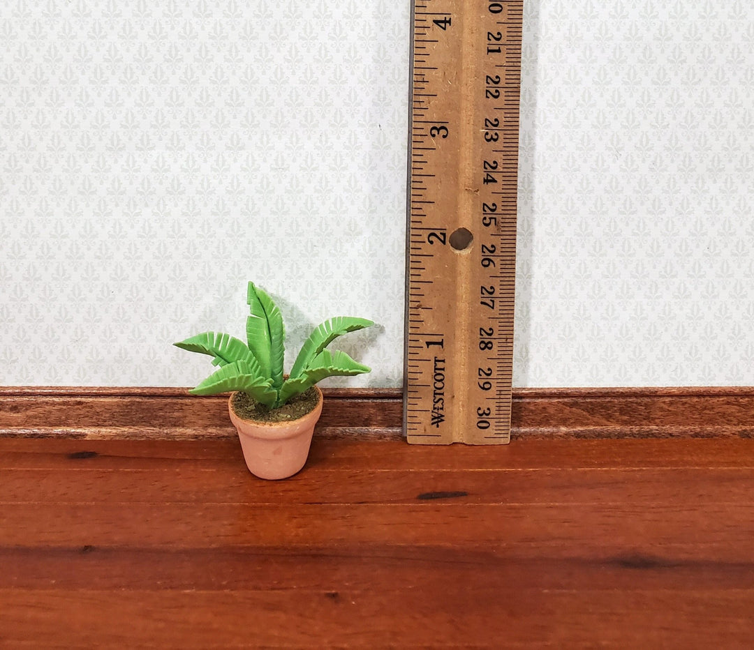 Dollhouse Potted Fern Houseplant in a Terra Cotta Pot 1:12 Scale Miniature Plant - Miniature Crush
