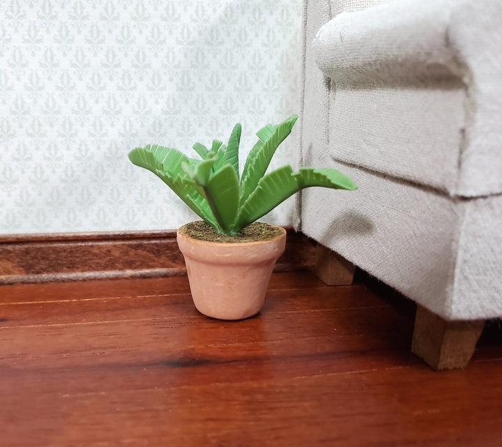 Dollhouse Potted Fern Houseplant in a Terra Cotta Pot 1:12 Scale Miniature Plant - Miniature Crush