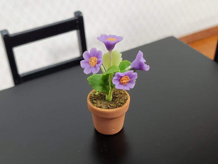 Dollhouse Potted Flowers Purple Daisy Plant 1:12 Scale Houseplant Garden in Terra Cotta Pot - Miniature Crush