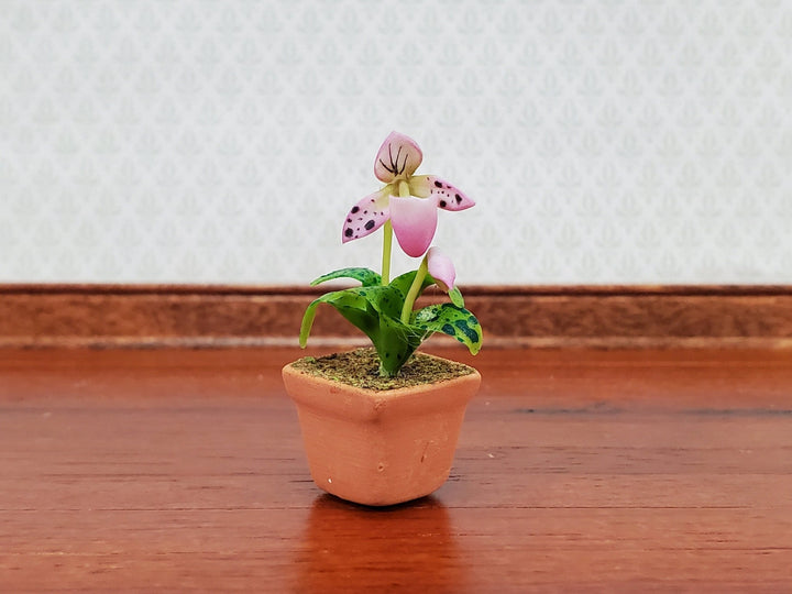 Dollhouse Potted Orchid Pink & White Flowering Plant in Terra Cotta Pot 1:12 Scale Miniature - Miniature Crush
