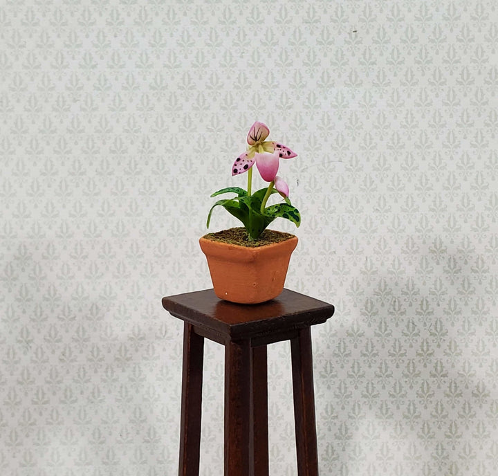 Dollhouse Potted Orchid Pink & White Flowering Plant in Terra Cotta Pot 1:12 Scale Miniature - Miniature Crush