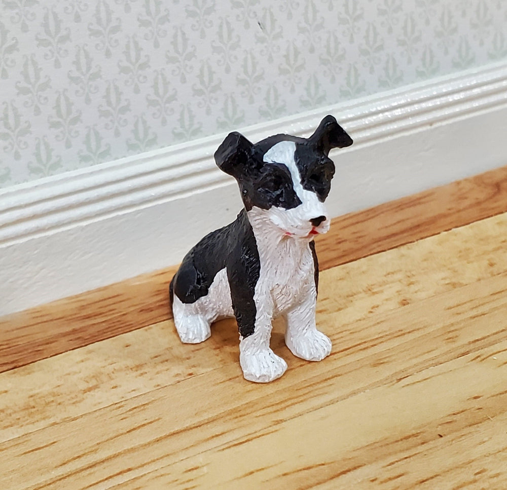Dollhouse Puppy Dog Border Collie Sitting 1:12 Scale Miniature Pet Cast Resin - Miniature Crush