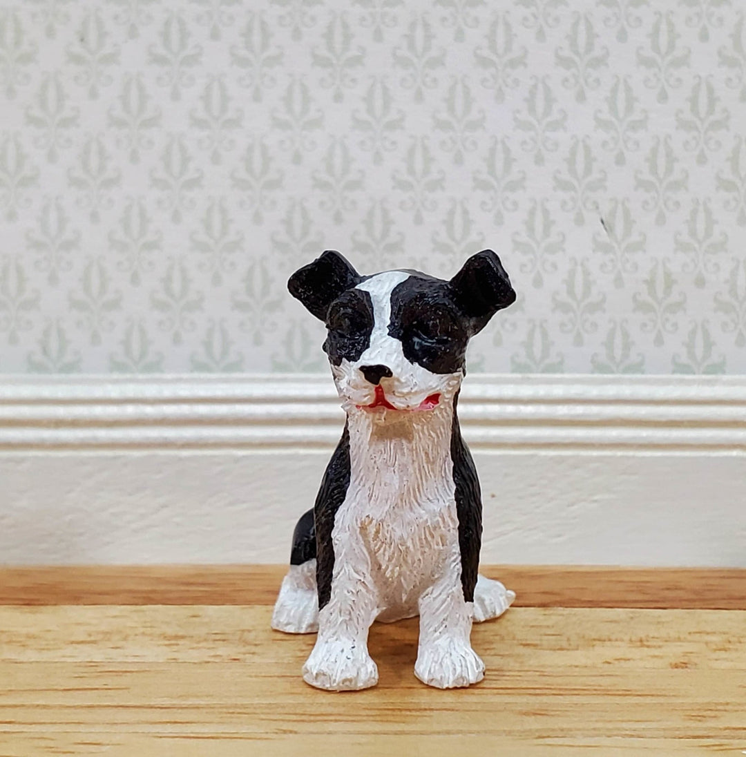 Dollhouse Puppy Dog Border Collie Sitting 1:12 Scale Miniature Pet Cast Resin - Miniature Crush