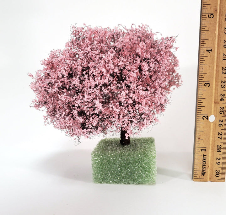 Miniature Flowering Cherry Tree or Bush Large Pink & White 4" Tall - Miniature Crush