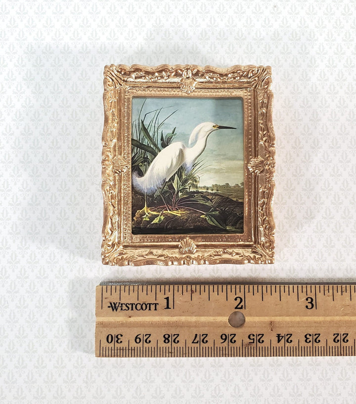 Miniature John James Audubon Print White Egret Bird 1:12 Scale Dollhouse Decor - Miniature Crush