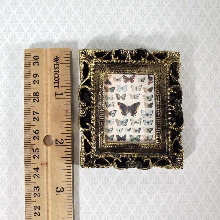 Miniature Vintage Butterfly Drawings Framed Print 1:12 Scale Dollhouse - Miniature Crush