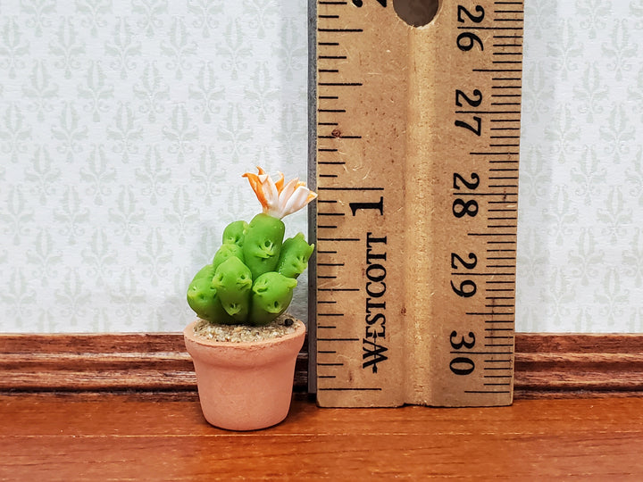 Dollhouse Cactus Flowering Plant in a Terra Cotta Planter 1:12 Scale Miniature Decor