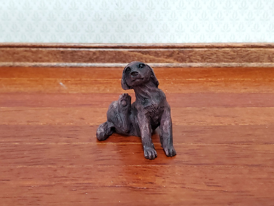 Dollhouse Miniature Puppy Dog Small Brown Scratching Ear 1:12 Scale Pet