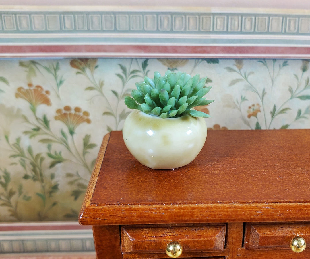 Dollhouse Succulent Plant in a Ceramic Planter 1:12 Scale Miniature Prop