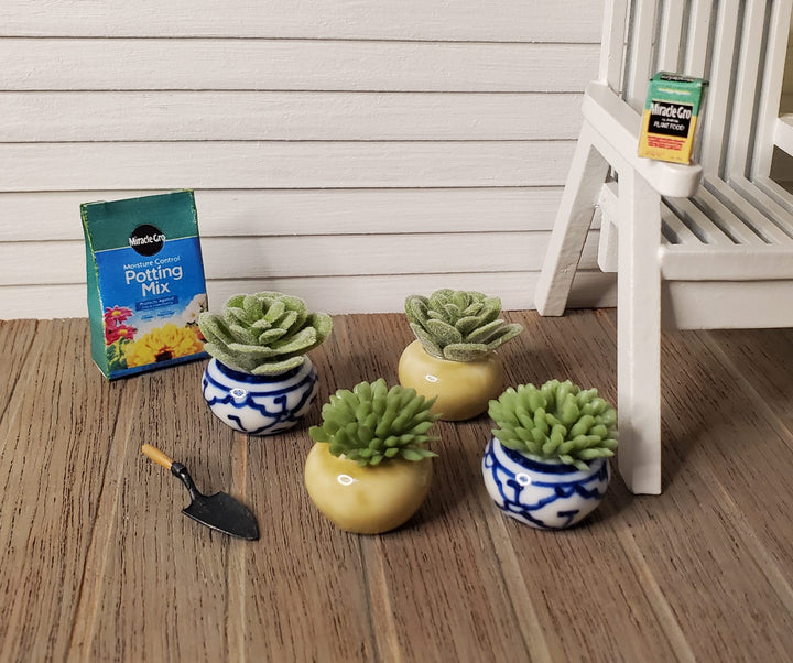 Dollhouse Succulent Plant in a Ceramic Decorative Planter 1:12 Scale Miniature Prop