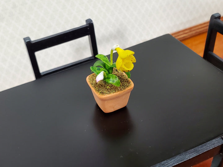 Dollhouse Cup Orchid Yellow Plant in Terra Cotta Planter 1:12 Scale Miniature