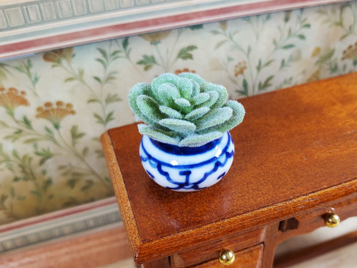 Dollhouse Succulent Echeveria Plant in a Ceramic Decorative Planter 1:12 Scale Miniature Prop