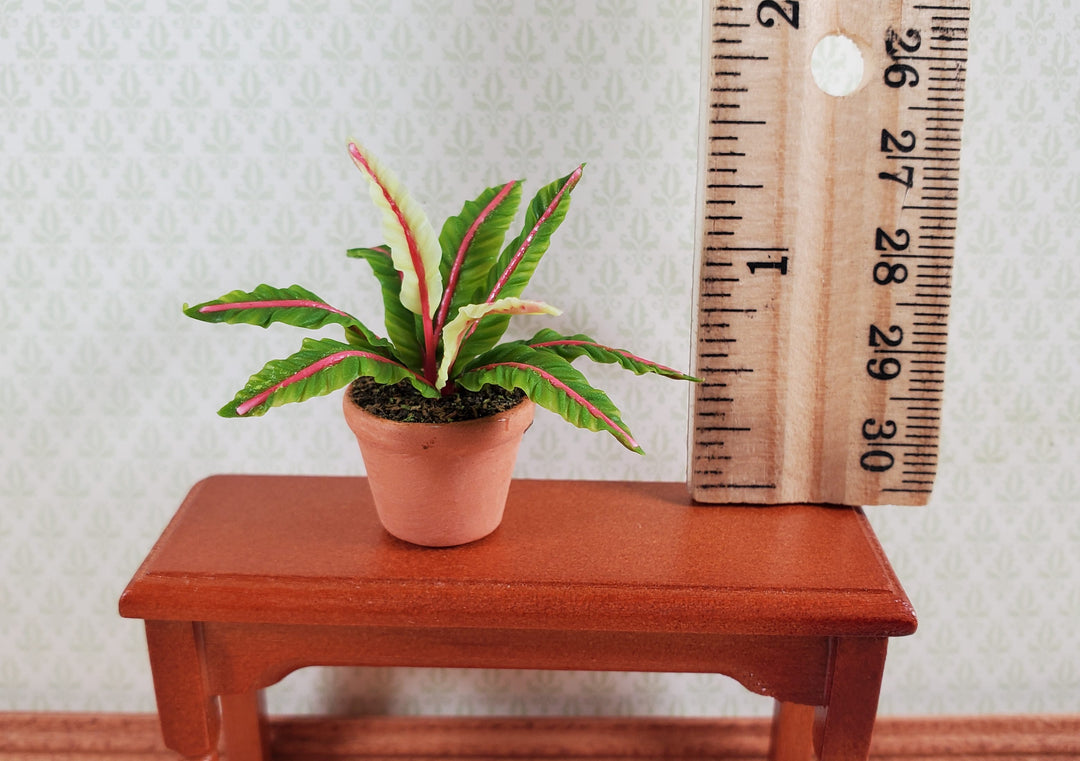 Dollhouse Houseplant Lady in Red Fern Terra Cotta Pot 1:12 Scale Miniature Plant