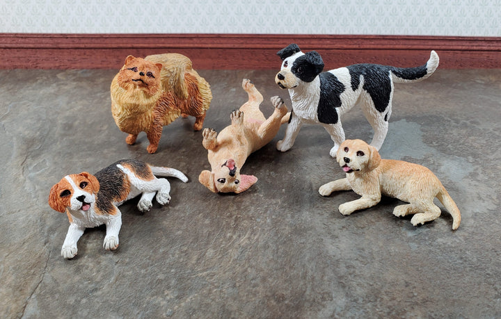 Dollhouse Sheltie Shetland Sheepdog Standing1:12 Scale Miniature Animal Pet