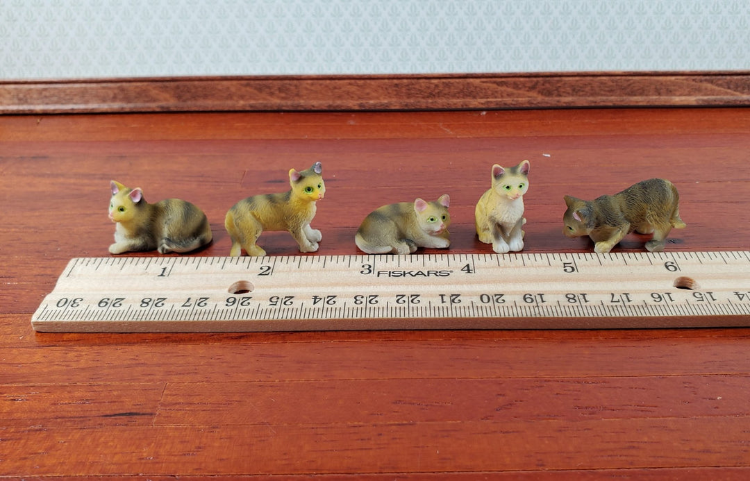 5 Dollhouse Cats Tabby Tabbies Striped Kittens 1:12 Scale Animals Cats - Miniature Crush