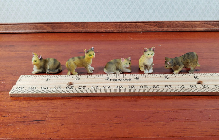 5 Dollhouse Cats Tabby Tabbies Striped Kittens 1:12 Scale Animals Cats - Miniature Crush