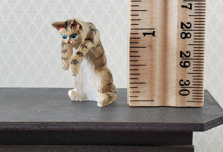 Dollhouse Kitty Cat Striped Tabby Mischievous Climbing 1:12 Scale Miniature Pet