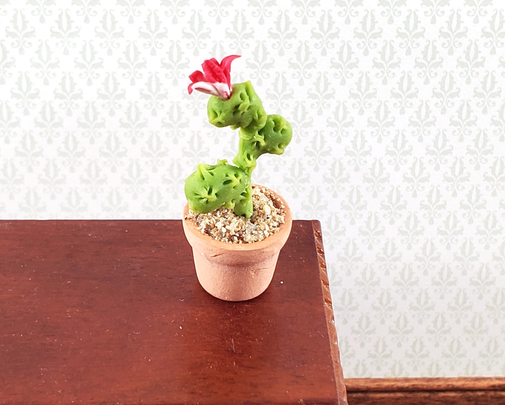 Dollhouse Cactus Tall Flowering Plant in a Terra Cotta Planter 1:12 Scale Miniature