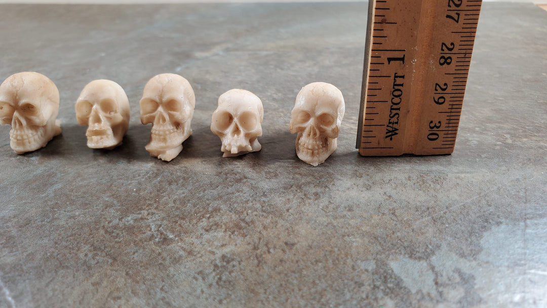 Miniature Skulls Tiny 5 Random 1:12 Scale Halloween Decoration Scale Model Resin