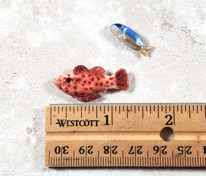 Miniature Fish x 2 Grouper + Small One for Dollhouse Food Seafood Grocer Grocery