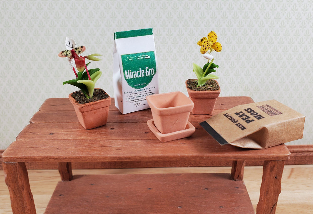 Dollhouse Flowering Plant Cup Orchid in Terra Cotta Planter 1:12 Scale Miniature