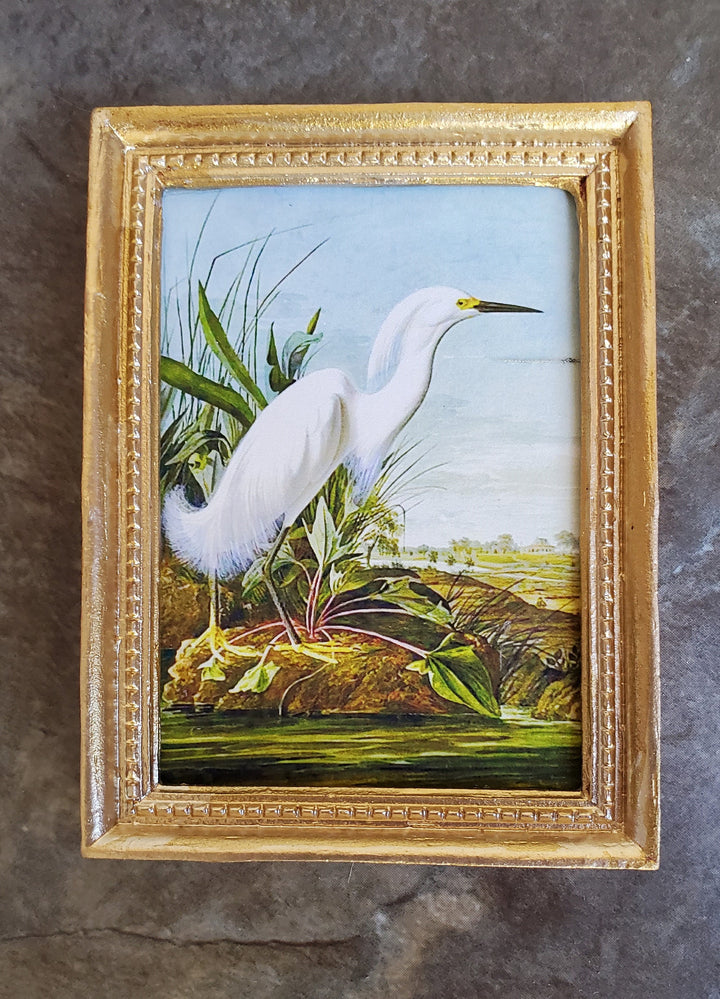 Dollhouse Miniature Egret White Print John James Audubon 1:12 Scale Gold Frame