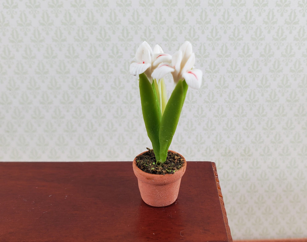 Dollhouse White Irises Plant in Terra Cotta Planter 1:12 Scale Miniature Garden