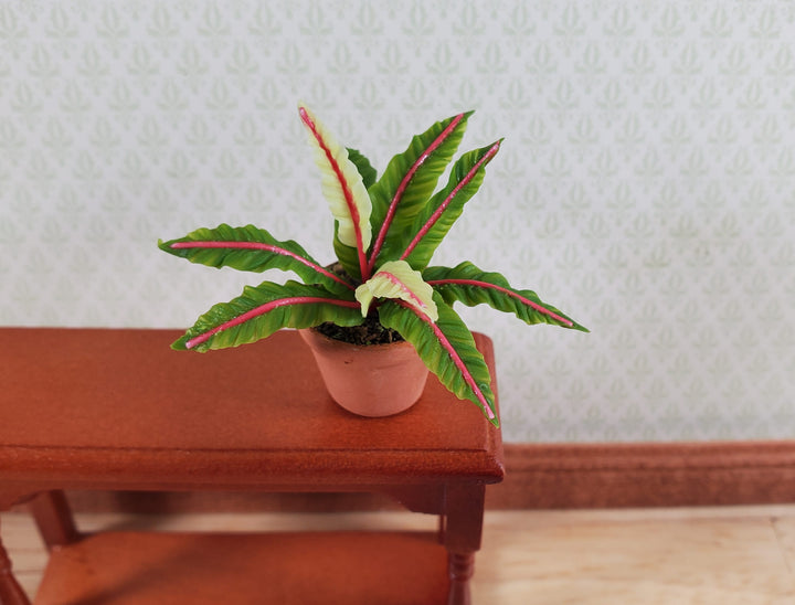 Dollhouse Houseplant Lady in Red Fern Terra Cotta Pot 1:12 Scale Miniature Plant