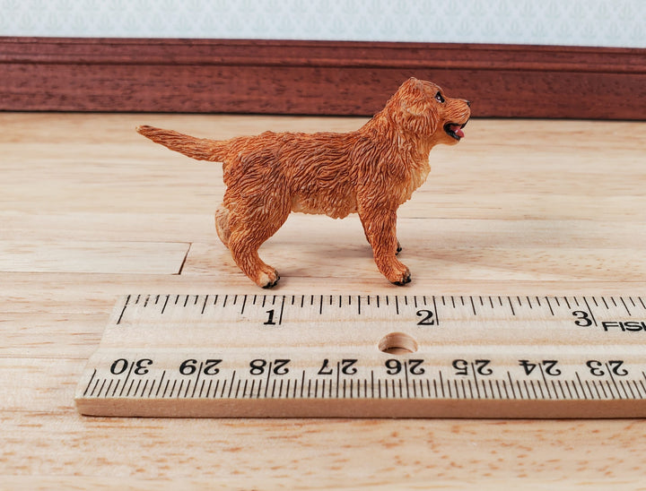 Dollhouse Golden Retriever Puppy Dog Pet 1:12 Scale Miniature Animal