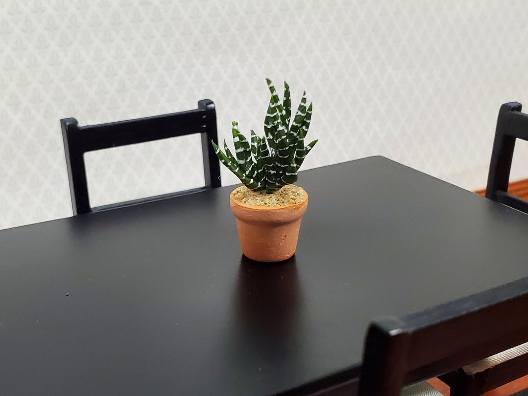 Dollhouse Succulent Zebra Plant in a Terra Cotta Planter 1:12 Scale Miniature