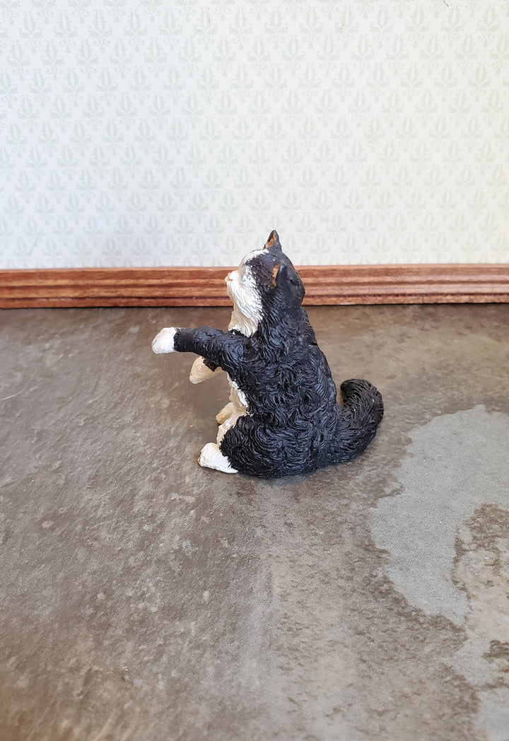 Dollhouse Miniature Kitty Cat Black & White Playful Long Fur 1:12 Scale Pets Animals