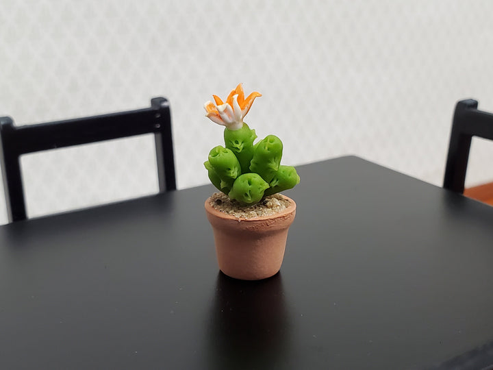 Dollhouse Cactus Flowering Plant in a Terra Cotta Planter 1:12 Scale Miniature Decor