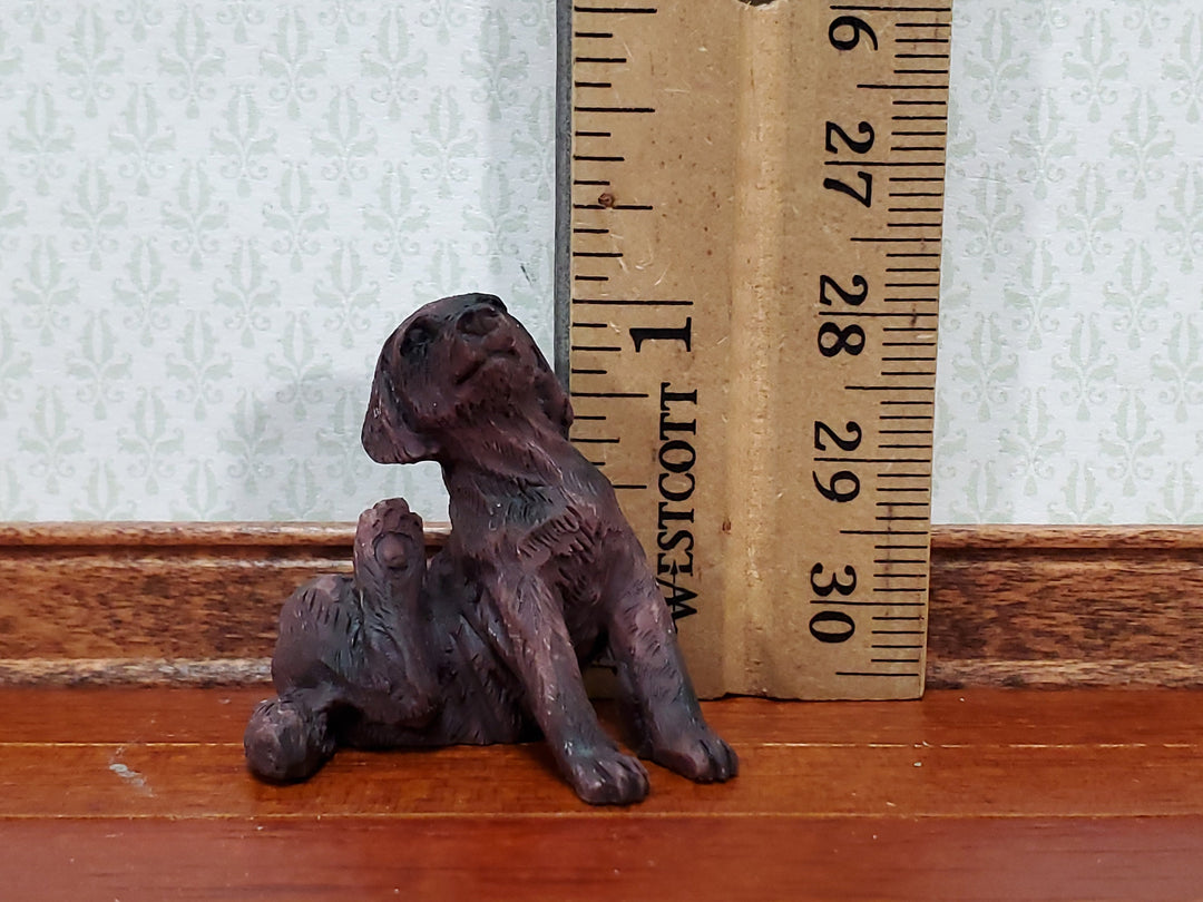 Dollhouse Miniature Puppy Dog Small Brown Scratching Ear 1:12 Scale Pet