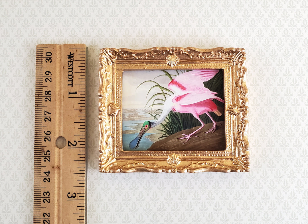 Miniature Framed Bird Print Roseate Spoonbill John James Audubon 1:12 Scale