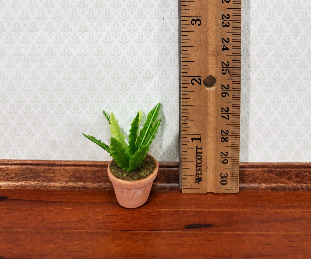 Dollhouse Houseplant Broadleaf Fern Terra Cotta Pot 1:12 Scale Miniature Plant