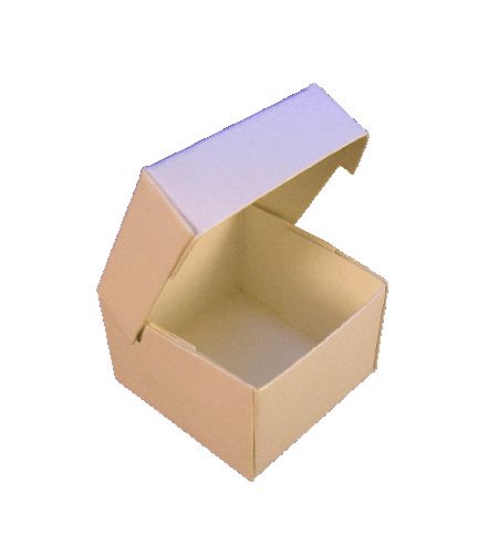 Dollhouse 1:24 Half Scale Cake/Pie/Cheesecake Box White Miniatures Food - MiniatureCrush