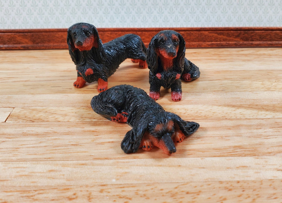 Dollhouse 1:6 Scale Dachshund Dogs Set of 3 Playscale Long Haired Puppy Pets - Miniature Crush