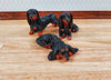 Dollhouse 1:6 Scale Dachshund Dogs Set of 3 Playscale Long Haired Puppy Pets