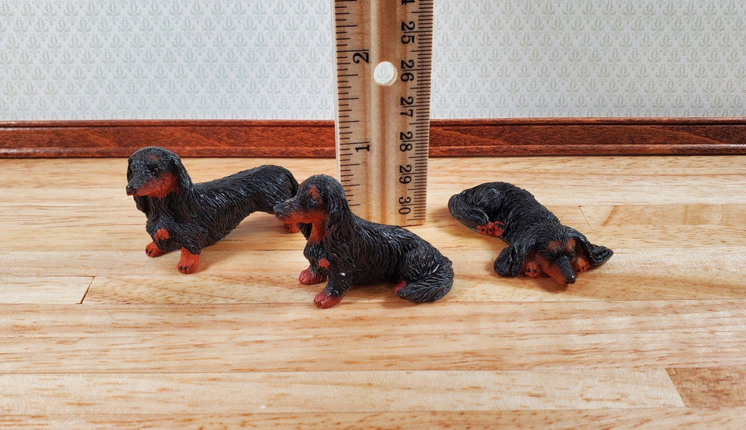 Dollhouse 1:6 Scale Dachshund Dogs Set of 3 Playscale Long Haired Puppy Pets - Miniature Crush