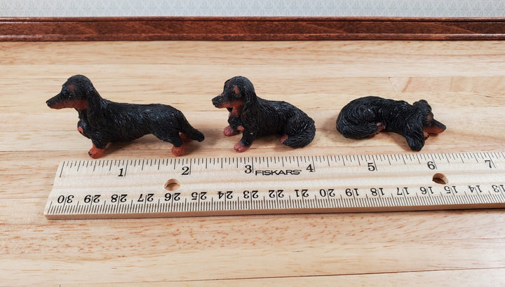 Dollhouse 1:6 Scale Dachshund Dogs Set of 3 Playscale Long Haired Puppy Pets - Miniature Crush