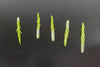 Dollhouse Asparagus Spikes 5 Pieces 1:12 Scale Miniature Food Vegetables