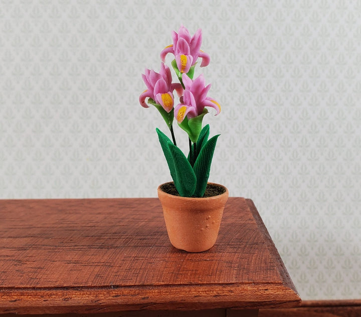 Dollhouse Bearded Iris Plant Pink Terra Cotta Pot 1:12 Scale Miniature Flowers - Miniature Crush