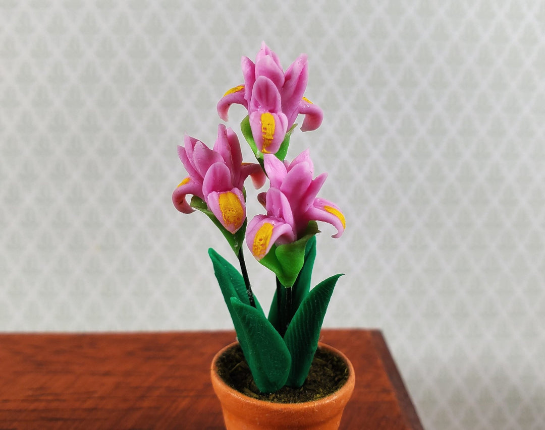 iris plant pot Dollhouse Bearded Iris Plant Pink Terra Cotta Pot 1:12 Scale Miniature Flowers