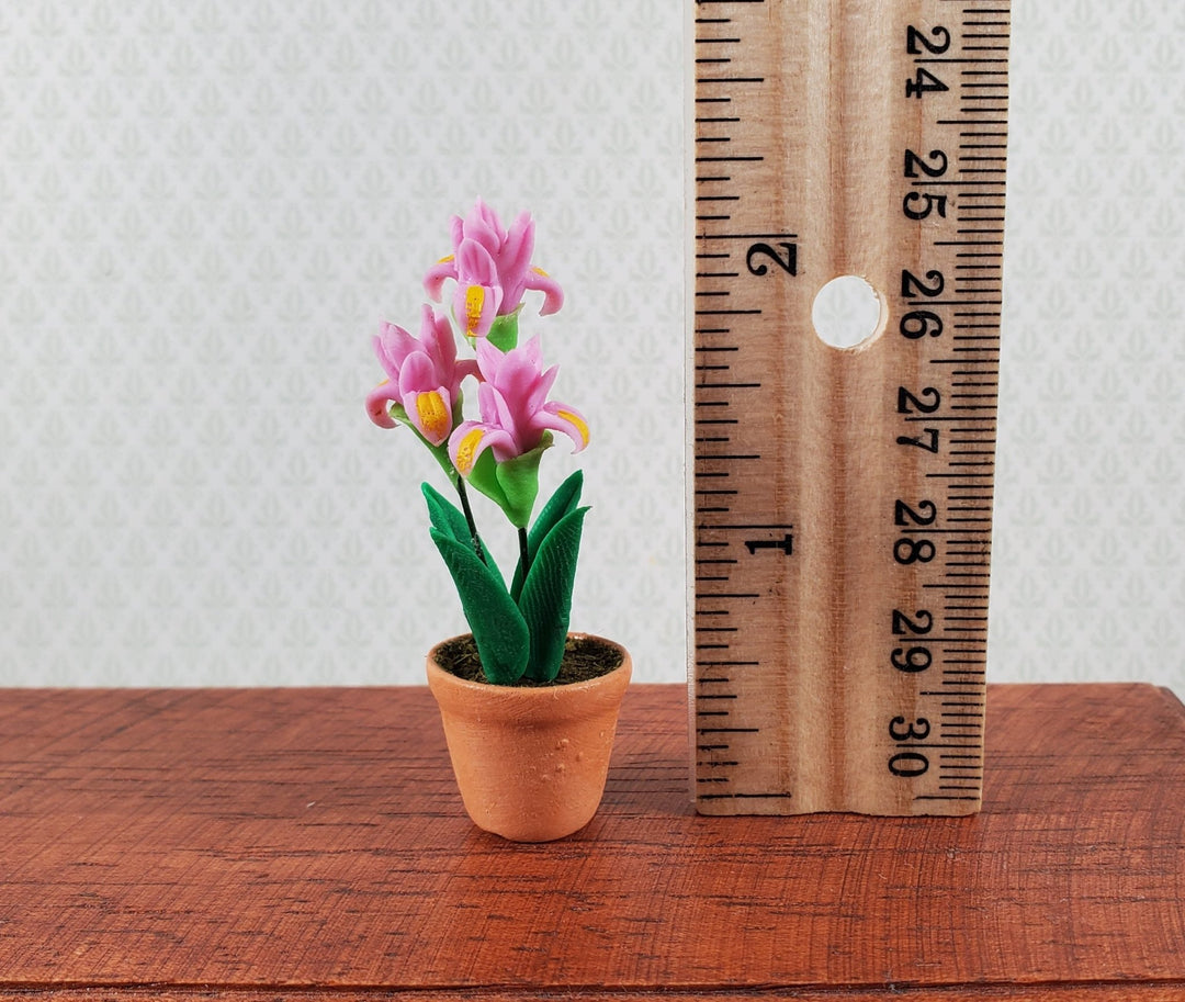 miniature potted plants in 1/24th scale Dollhouse Bearded Iris Plant Pink Terra Cotta Pot 1:12 Scale Miniature Flowers