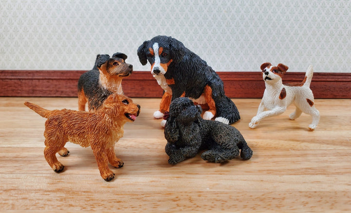 Dollhouse Bernese Mountain Dog Pet 1:12 Scale Miniature Animal - Miniature Crush